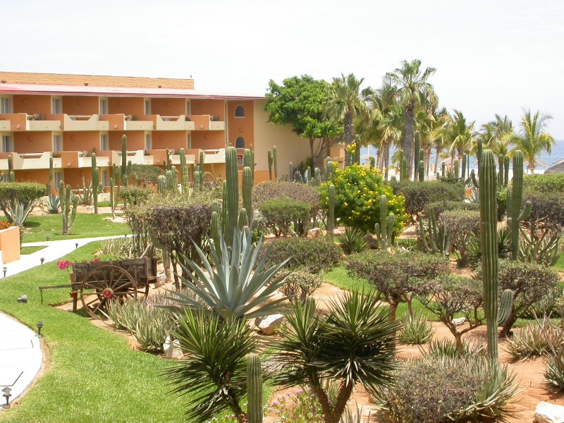 Posada Real - Garten