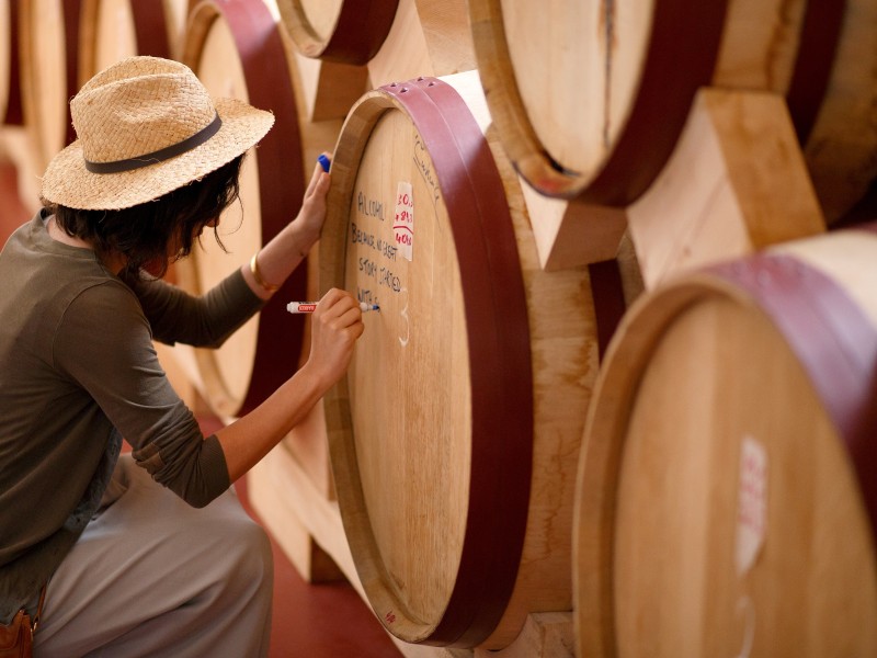 Winery Visit