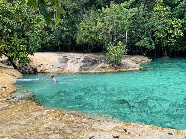 All day Krabi Jungle Tour (Hot Spring Wa