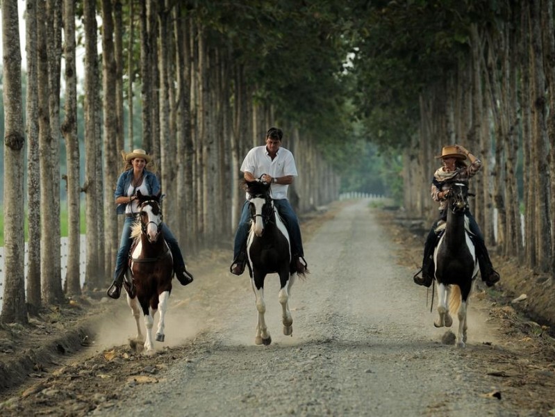 Ausritte mit dem Pferd