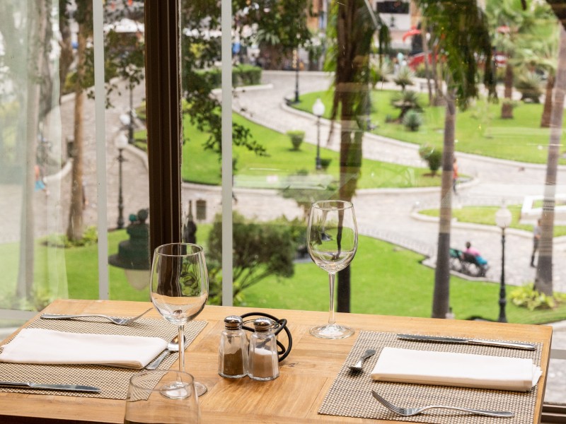 Blick in den Park der Iguanas