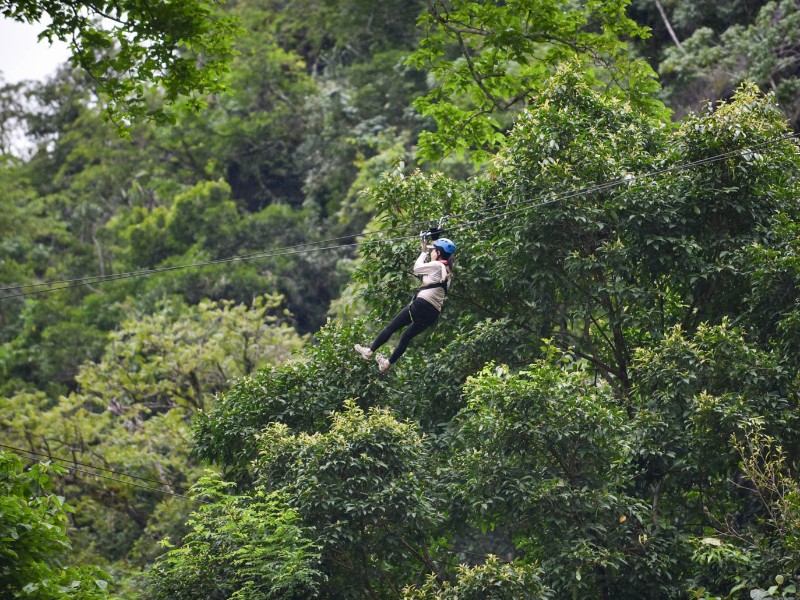 Zipline Adventure