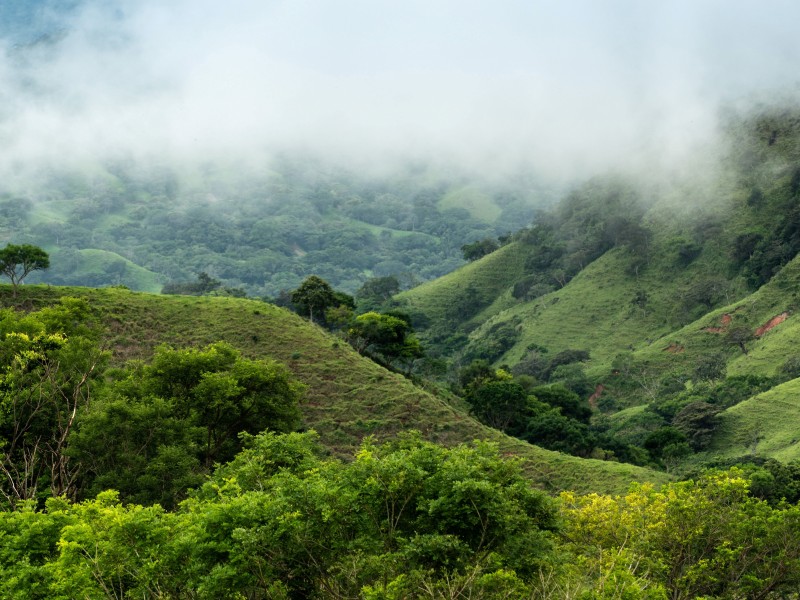 Costa Rica - Monteverde