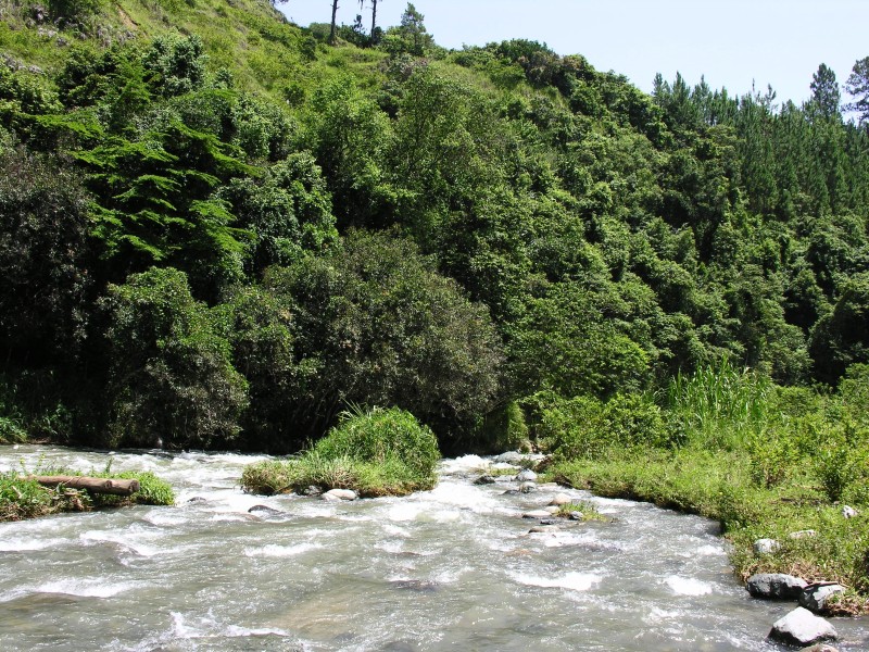 Jarabacoa - Fluss