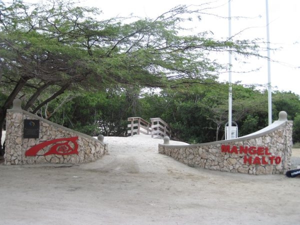 Mangel Halto Beach Aruba