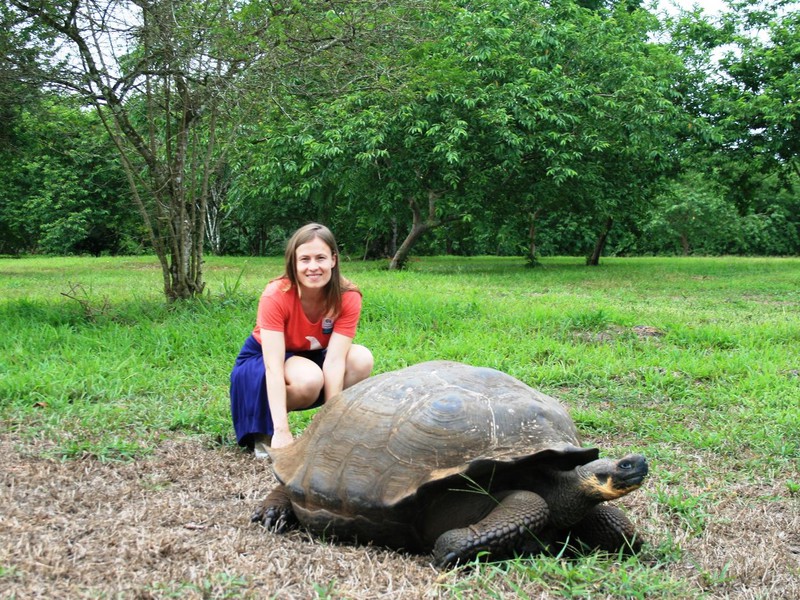 Schildkröten-Reservat