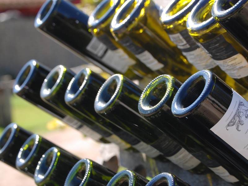 Mendoza Wine