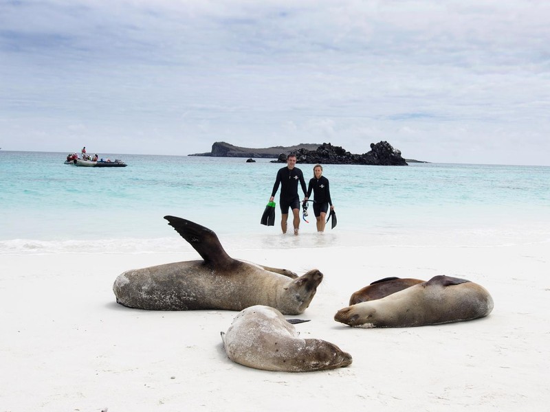 Snorkeling trip and lazy sea lions