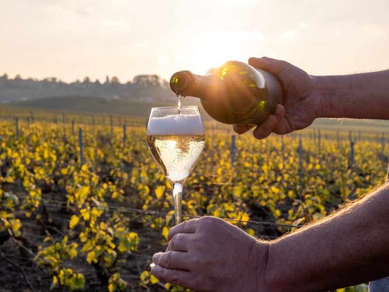 France - Champagne region