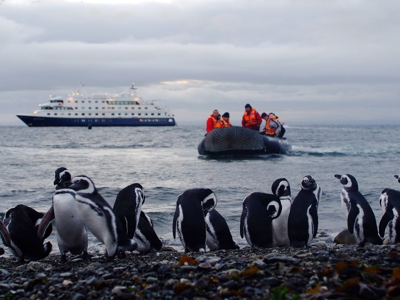 Australis - Magdalena Island