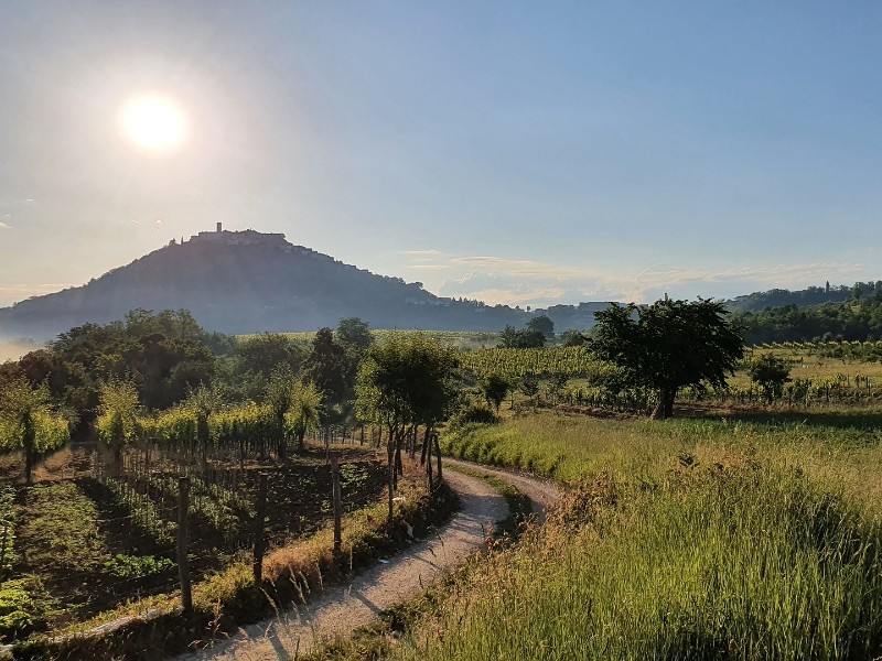 mountains of motovun- day 6