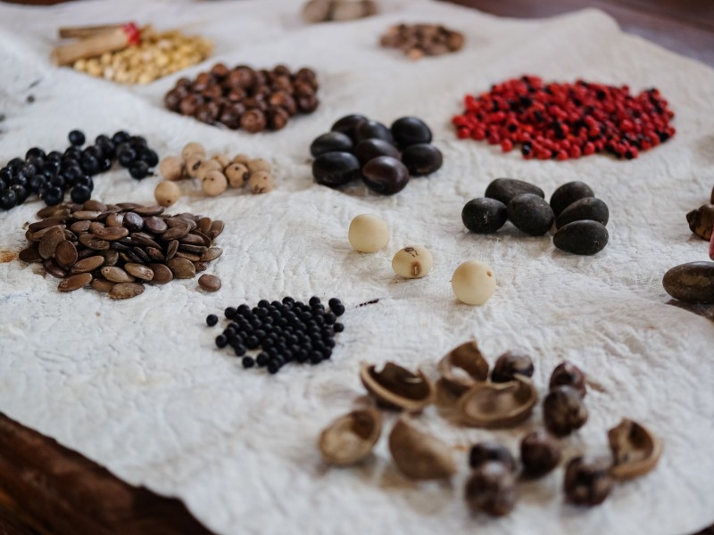 Posada Amazonas - Urwaldschätze