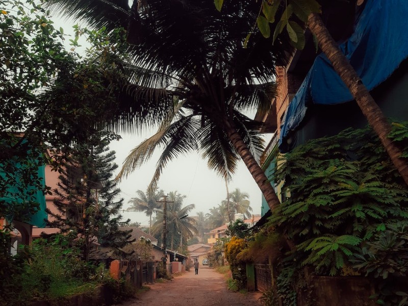 Ari Village