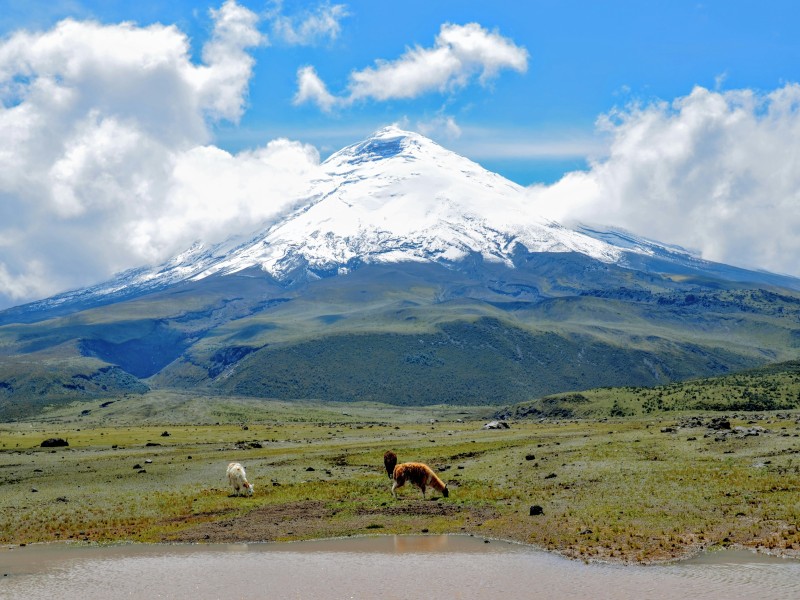 Ecuador_Ecuador_Cotopaxi