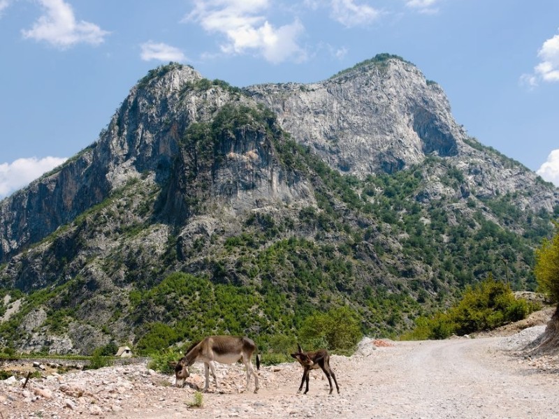 Albania - Skhöder