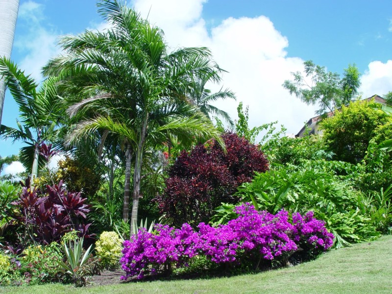 Grenada Flower Festival