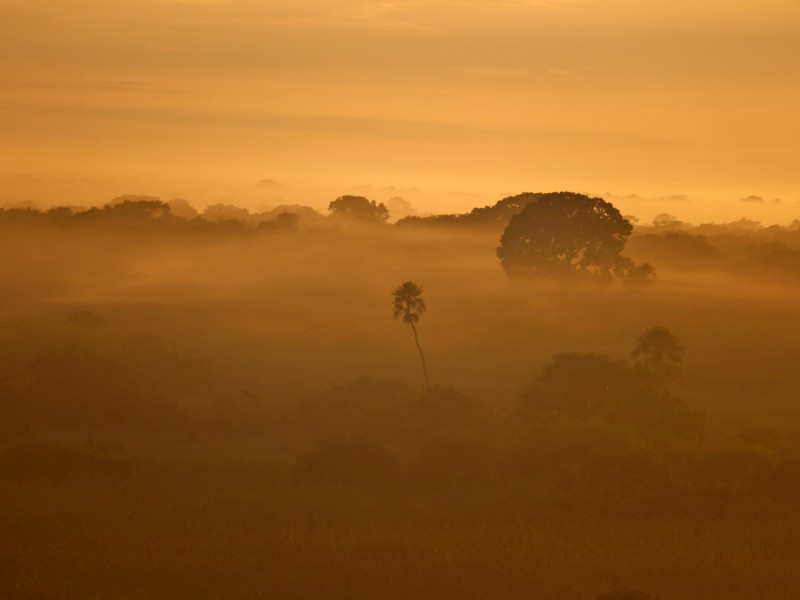 Landschaft im Pantanal