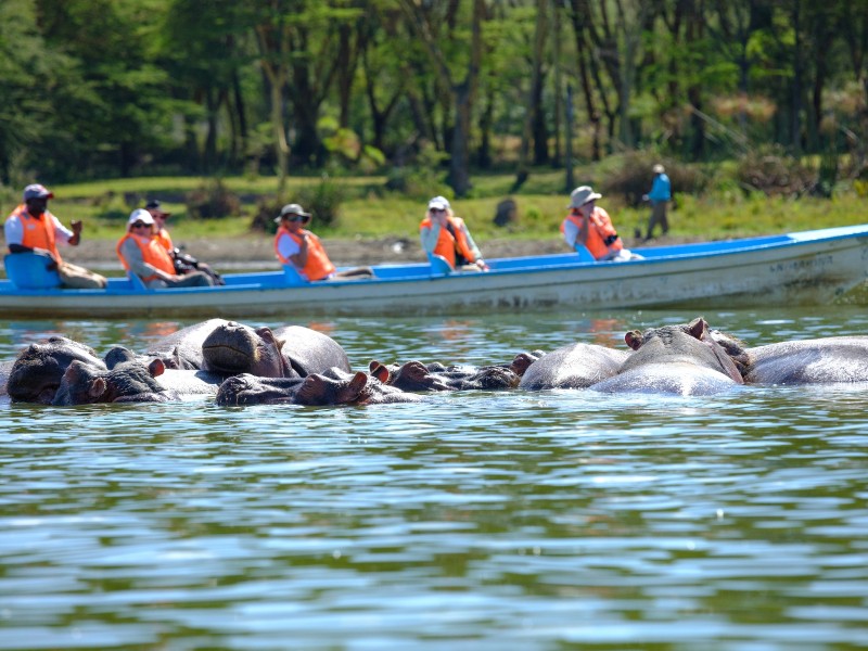 Kenya - Lake Naivasha