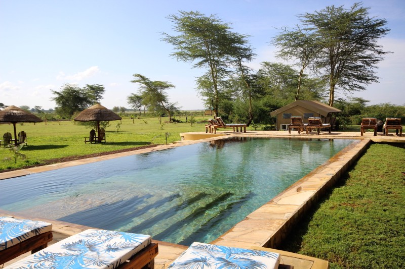 Africa Safari Lake Manyara Swimming Pool