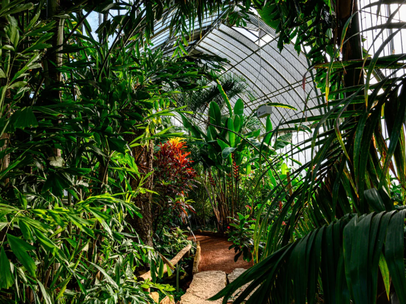 Geneva`s Botanical Garden