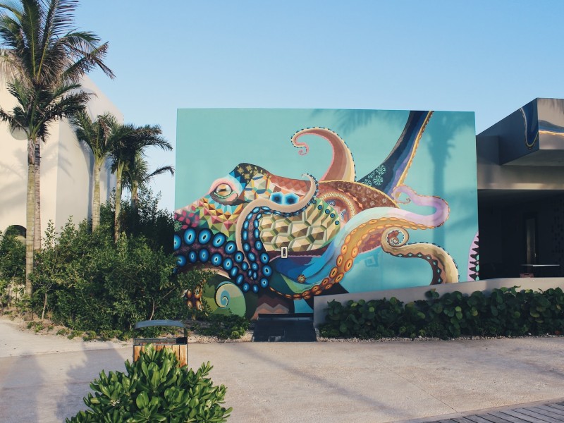 Mayan Mysteries & Glowing Waters: A Yucatán Expedition - 3