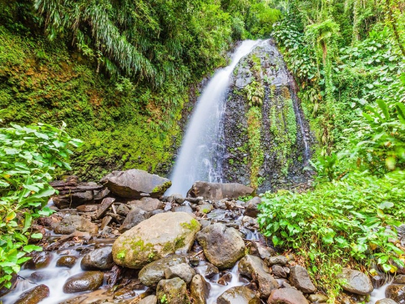 Dark VIew Falls by Island Routes