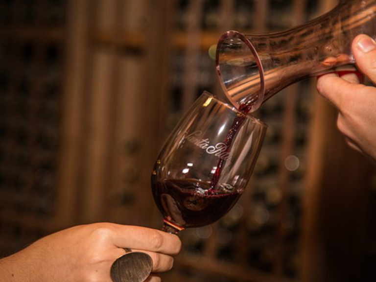 Weingut im Maipo-Tal