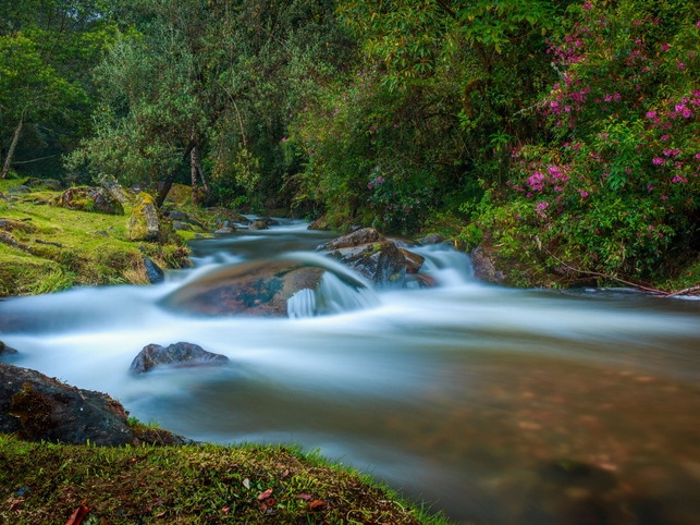 Fluss - San Gerardo de Dota - Costa Rica