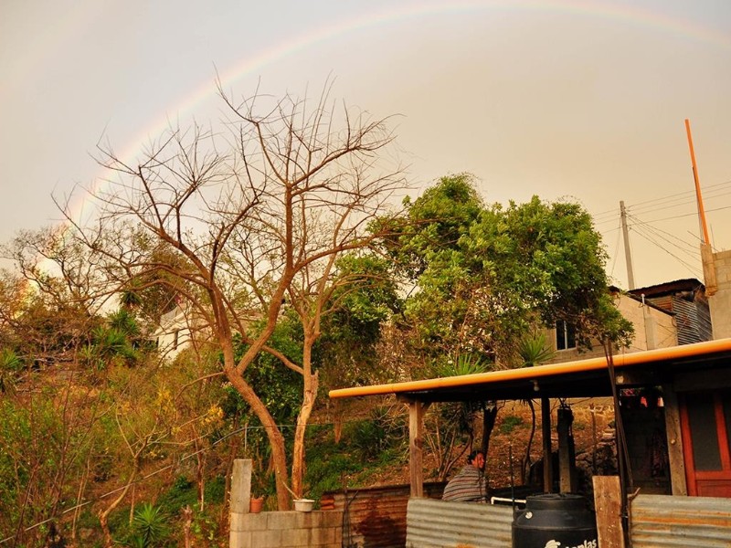 Maya Homestay