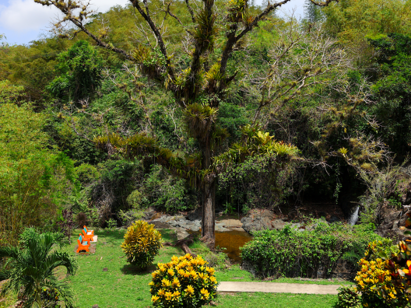 Tobago: Hidden Gems Tour
