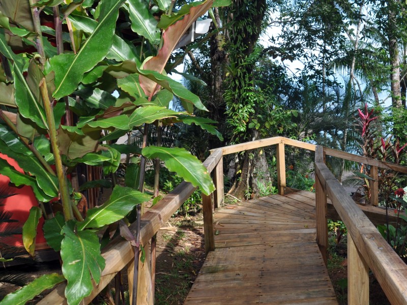 Pirate Cove - Gartenanlage