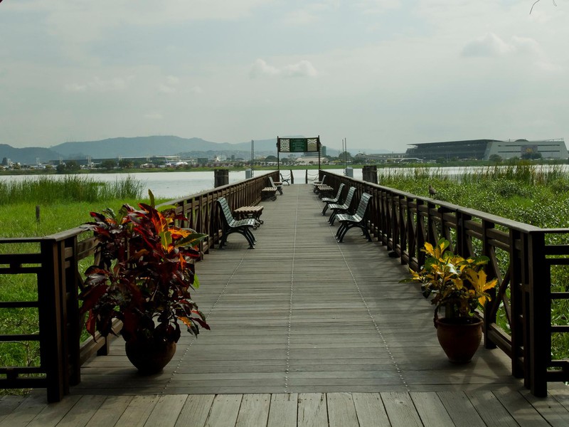 Overlooking the river Daule