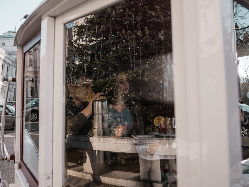 Riding Dinner Christmas Sightseeing