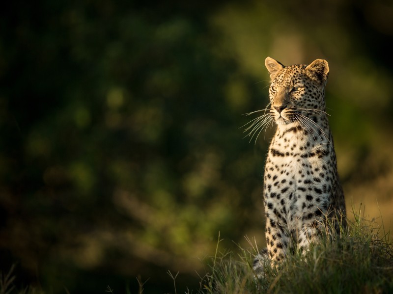 Header Etosha National Park
