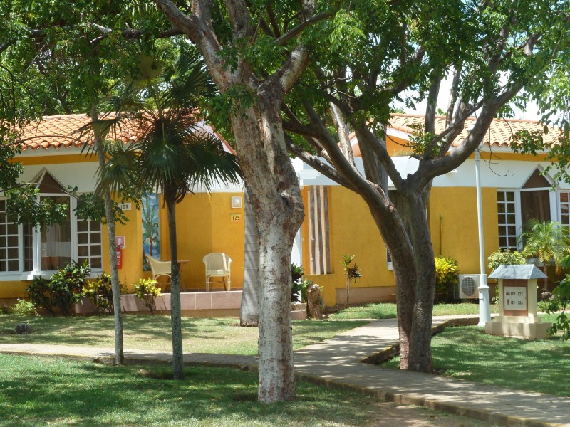 Sol Palmeras - Bungalow