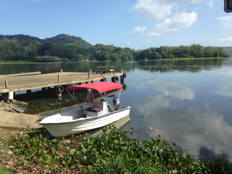 Gatunsee
