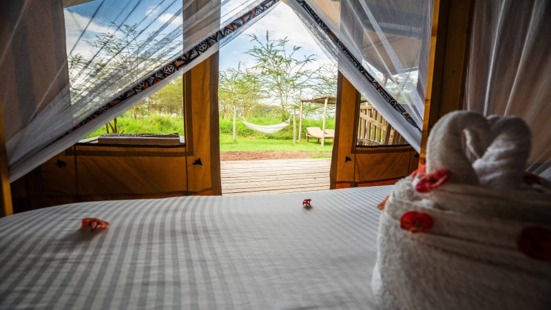 Lake Manyara Luxury Glamping