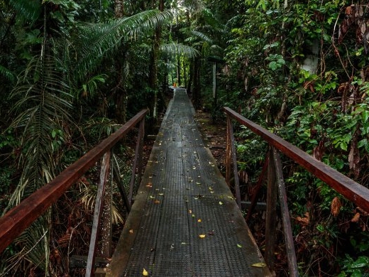 Eingang - Canangueno Lodge