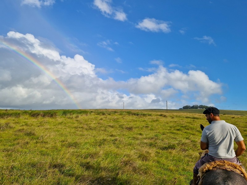 Estancia Los Platanos - Ausritte