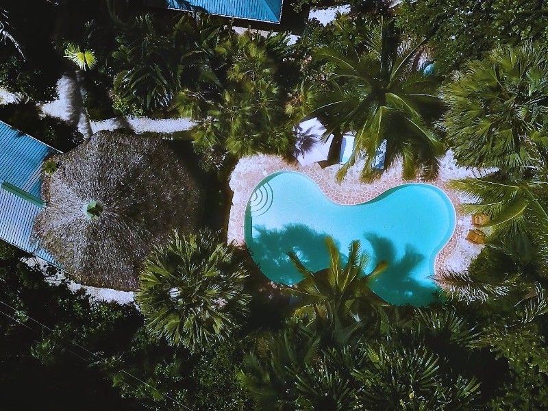 El Pequeño Gecko Verde - Pool