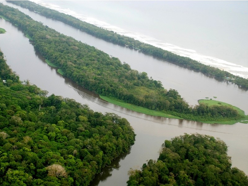 Tortuguero Nationalpark - Kanäle