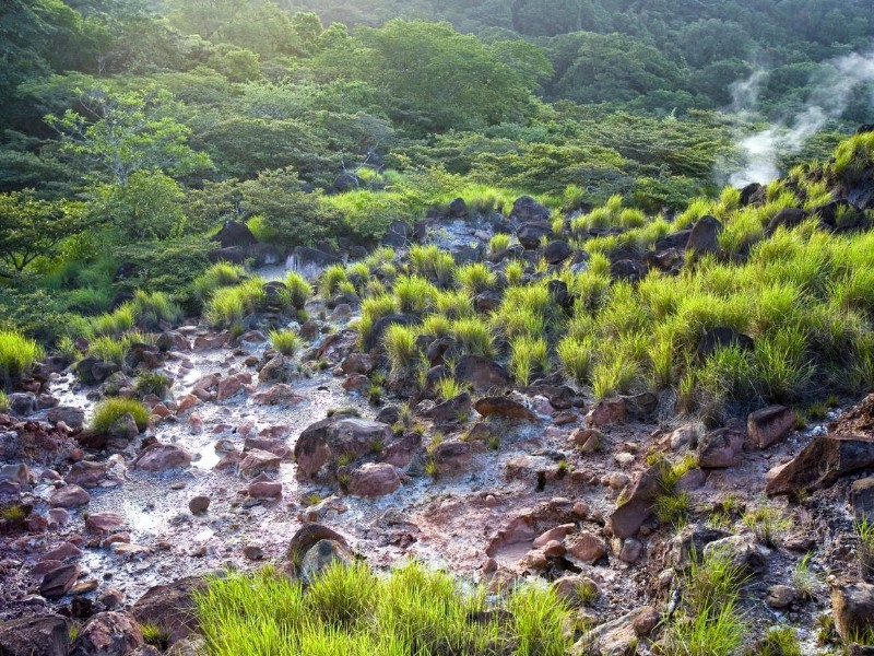 Trockenwald und vulkanischer Dampf