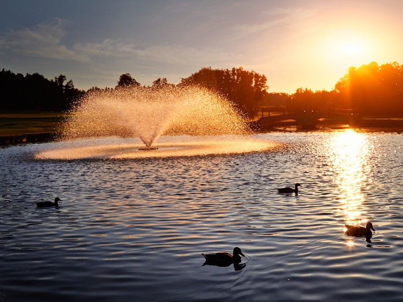 Prosper Golf Coure Celadna