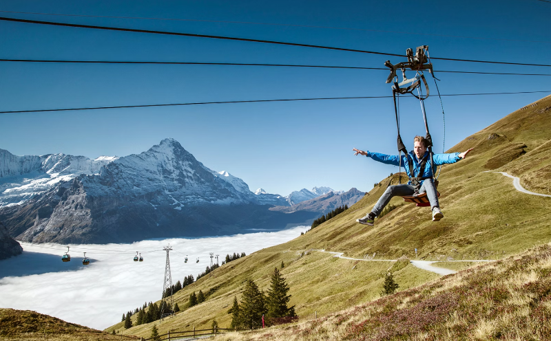 First Flyer Grindelwald