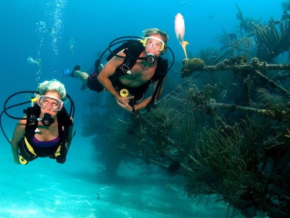 SCUBA DIVING BARBADOS