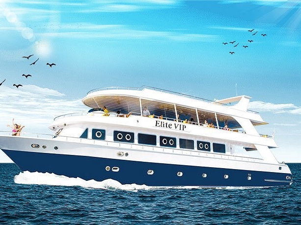 Elite VIP Cruise