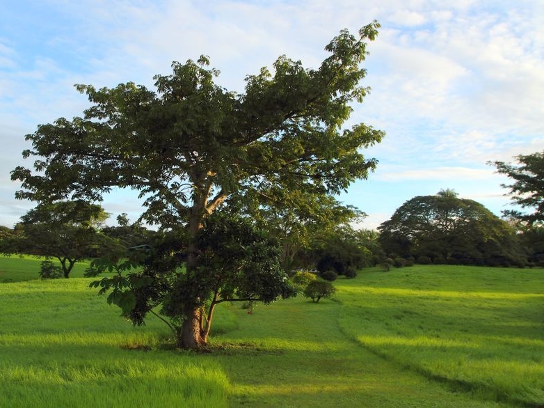 La Ensenada Lodge - Hotelumgebung