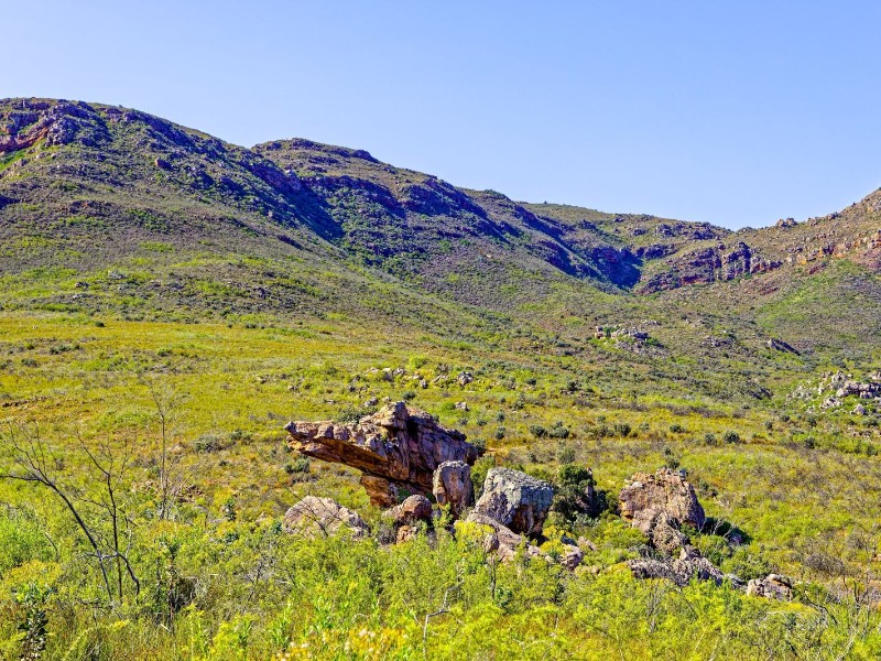 South Africa - Clanwilliam