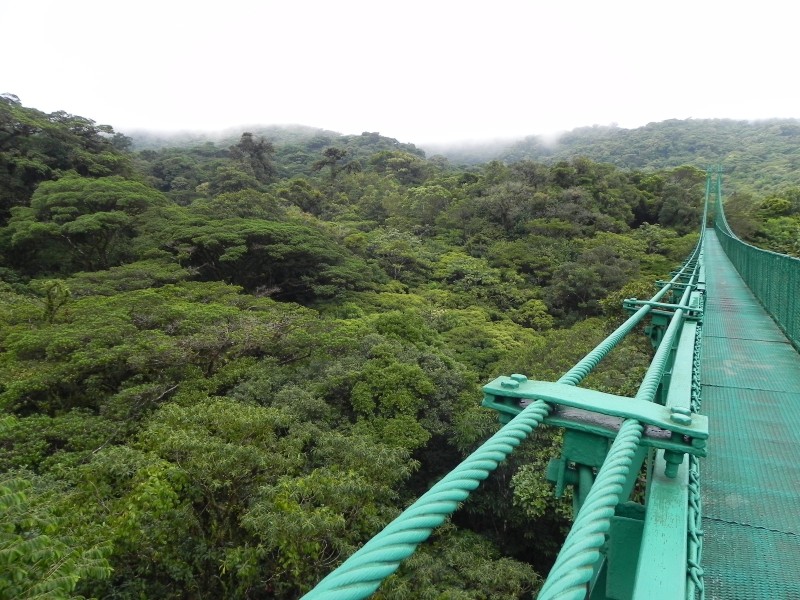 Monteverde Hängebrücken
