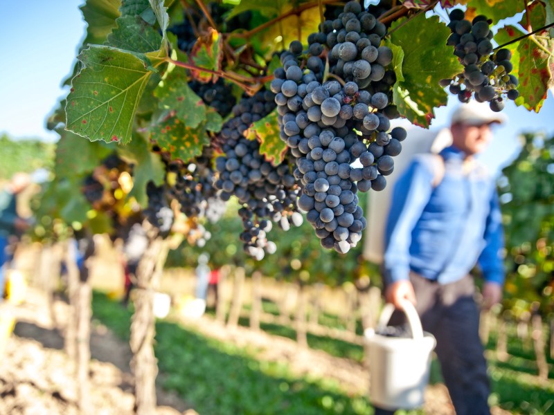 Austria - Wachau Valley 2